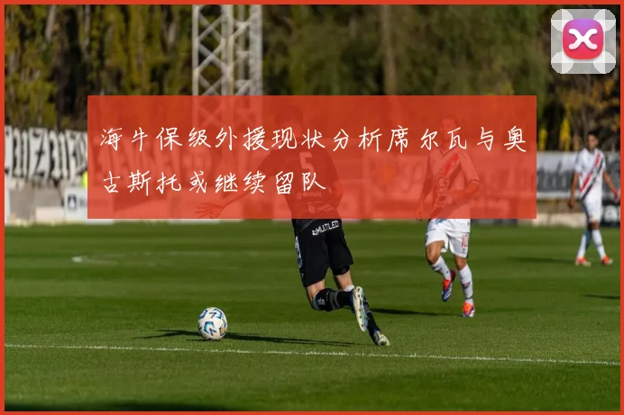 海牛保级外援现状分析席尔瓦与奥古斯托或继续留队